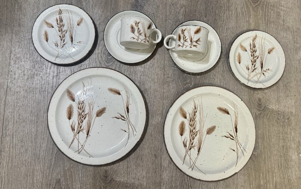 Vtg Stonehenge Midwinter Wild Oats 2 Dinner Plates 2 Salad 2 Bread Plates 2 Mugs